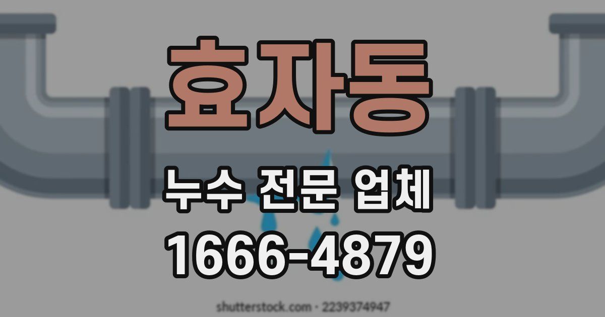효자동 누수 전문 업체