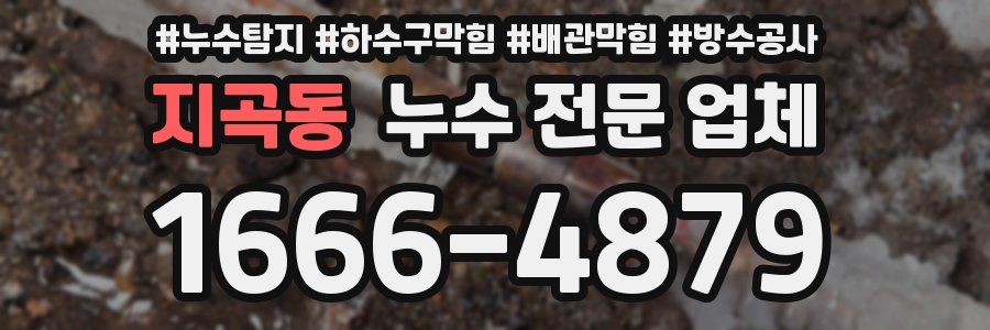지곡동 누수 전문 업체