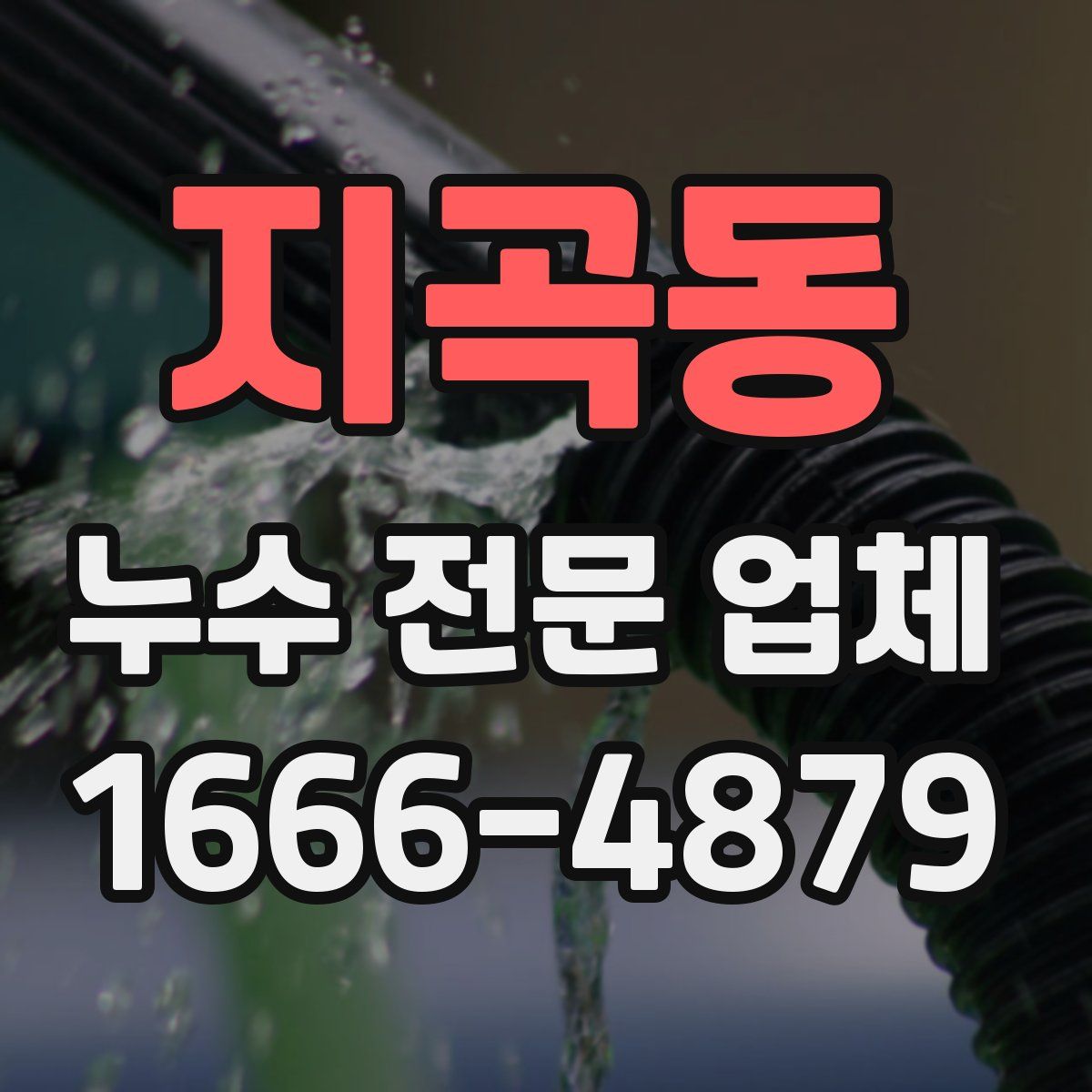 지곡동 누수 전문 업체