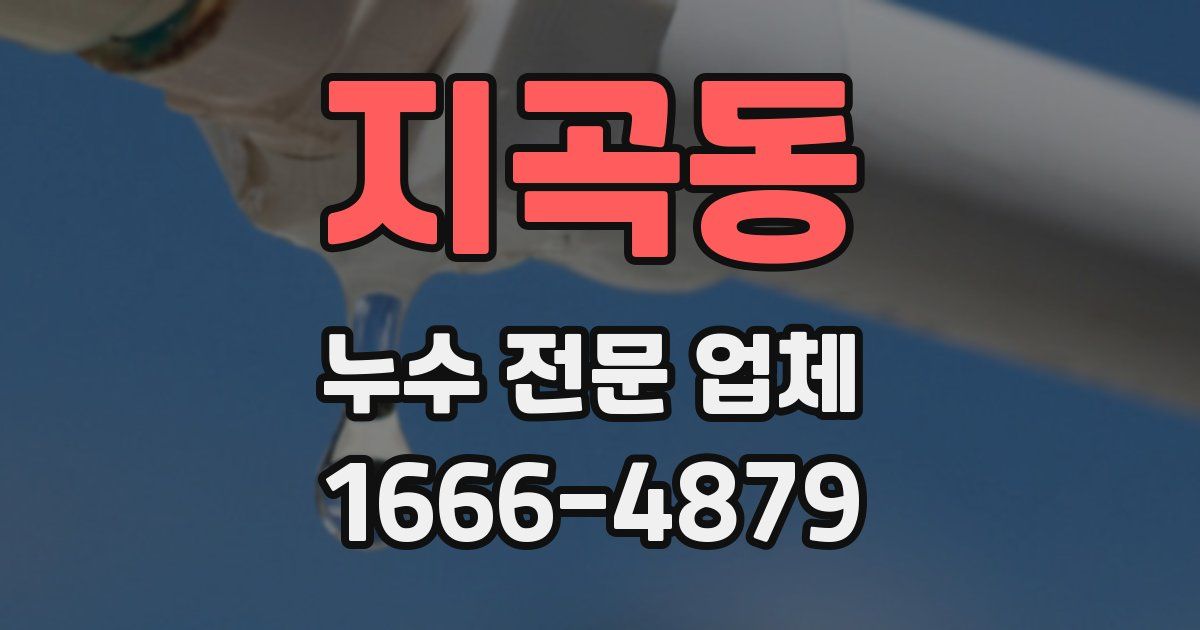 지곡동 누수 전문 업체