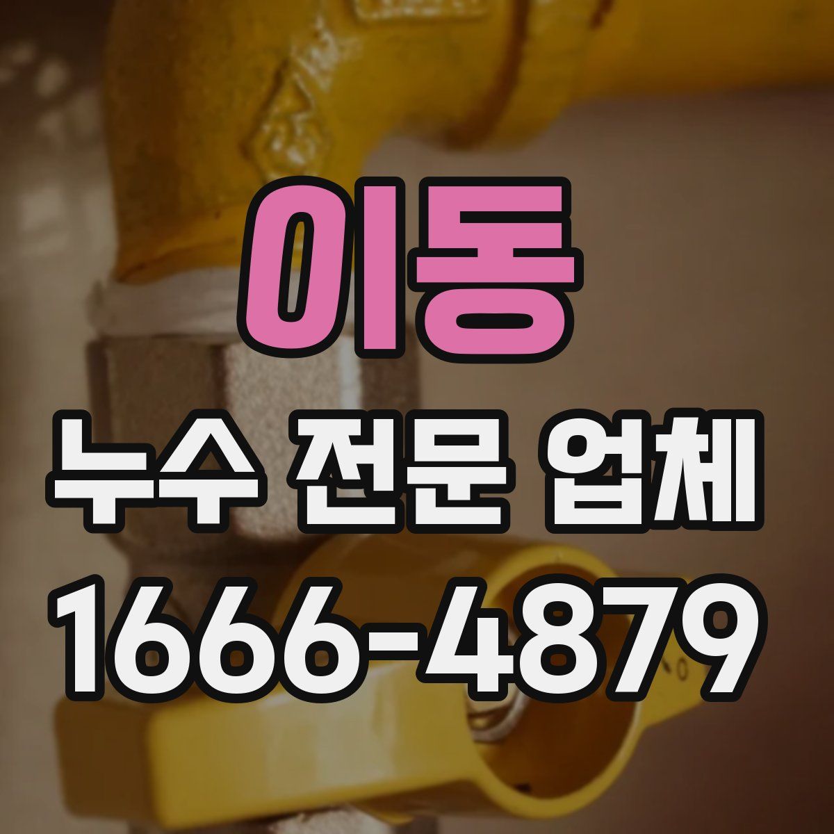 이동 누수 전문 업체