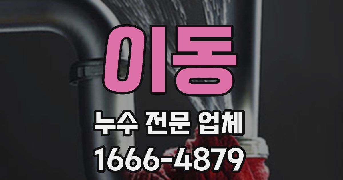 이동 누수 전문 업체
