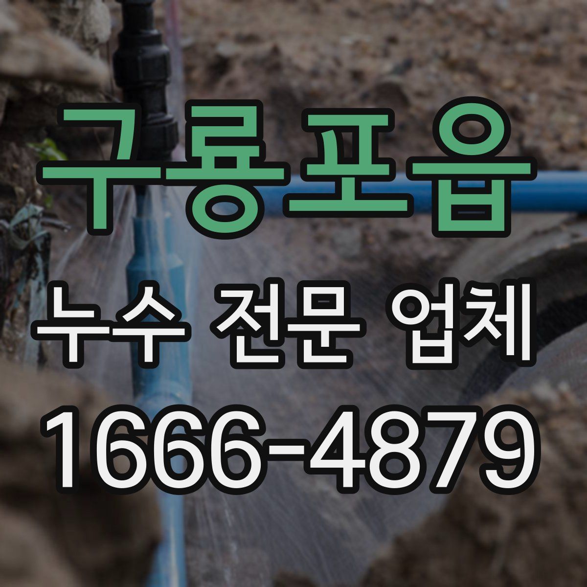 구룡포읍 누수 전문 업체