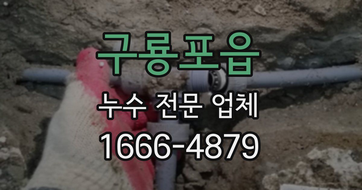 구룡포읍 누수 전문 업체