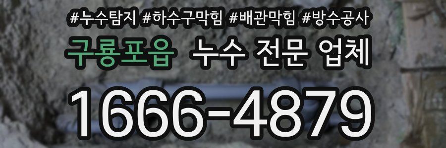 구룡포읍 누수 전문 업체