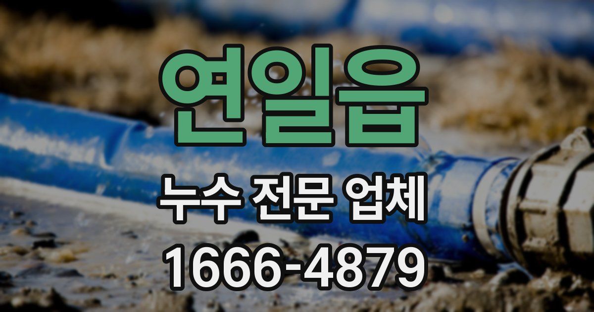연일읍 누수 전문 업체
