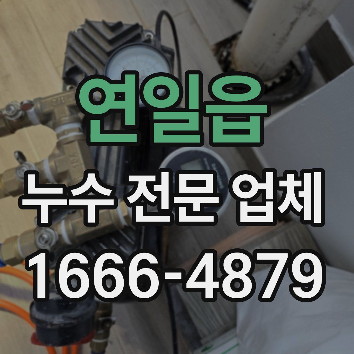 연일읍 누수 전문 업체