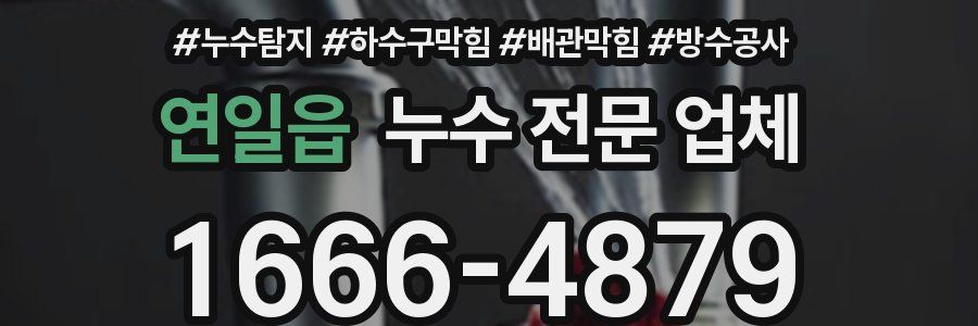 연일읍 누수 전문 업체
