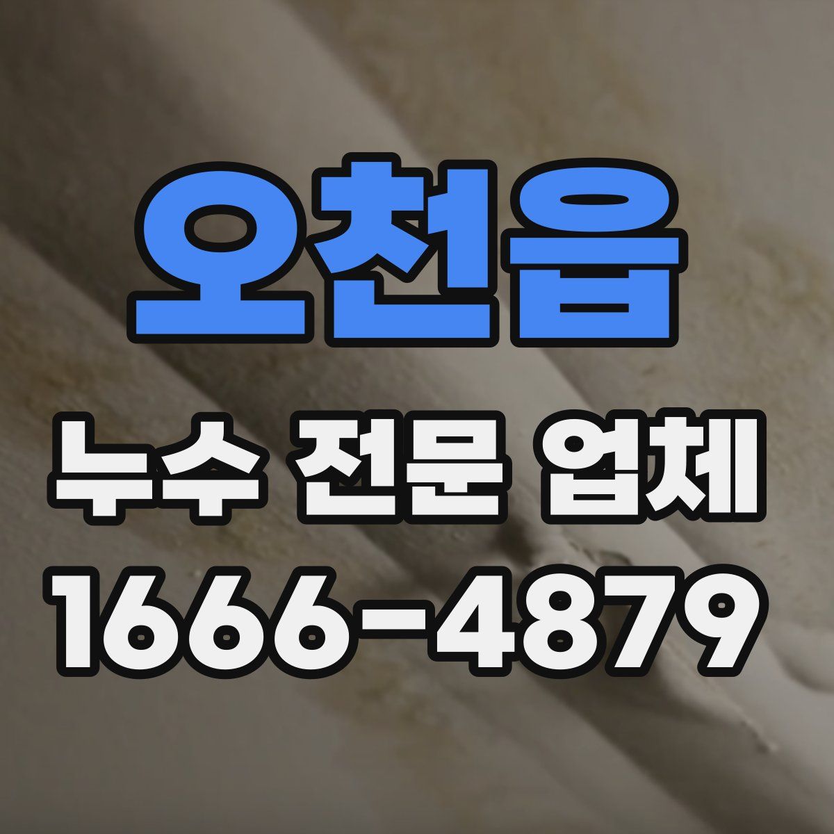 오천읍 누수 전문 업체