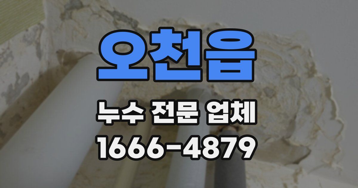 오천읍 누수 전문 업체