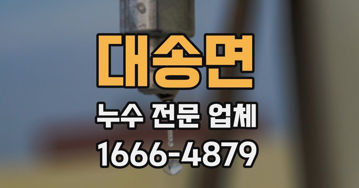 대송면 누수 전문 업체