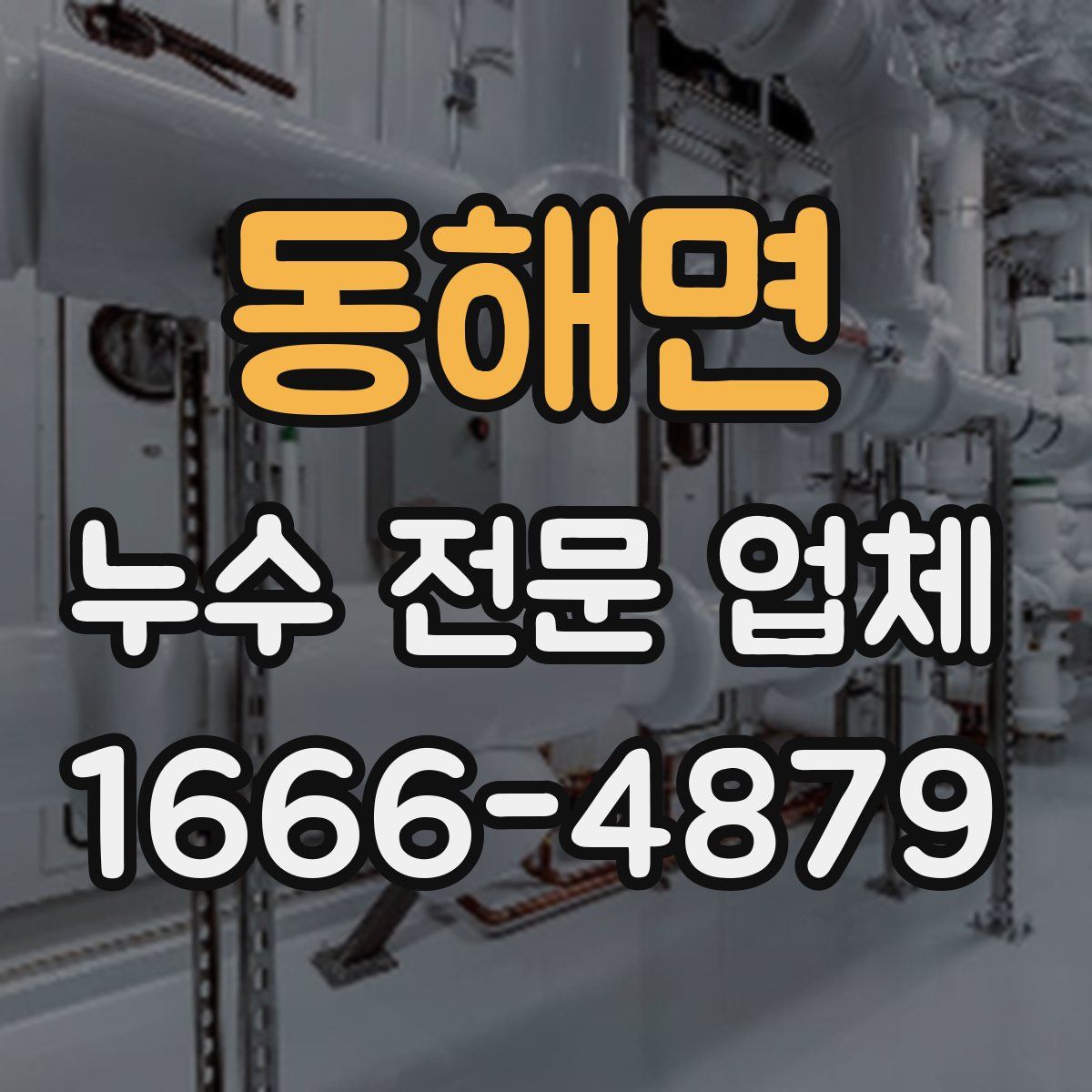 동해면 누수 전문 업체