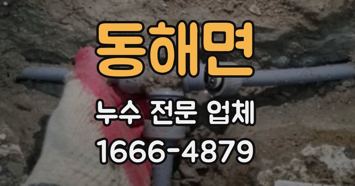 동해면 누수 전문 업체