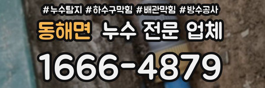 동해면 누수 전문 업체