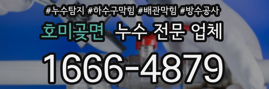 호미곶면 누수 전문 업체