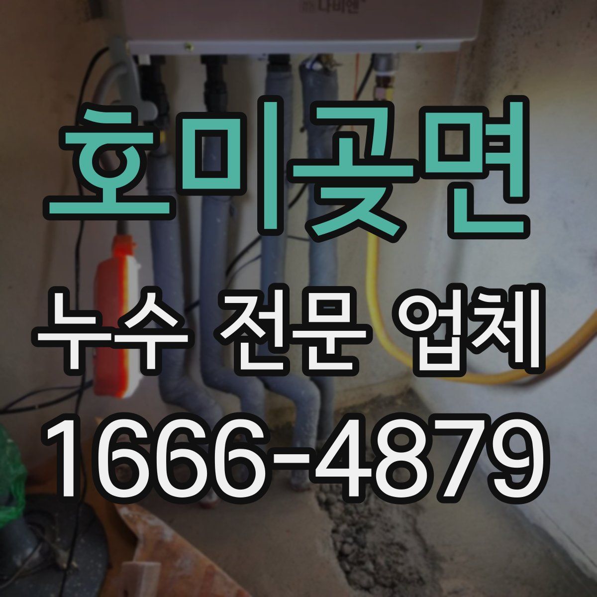 호미곶면 누수 전문 업체