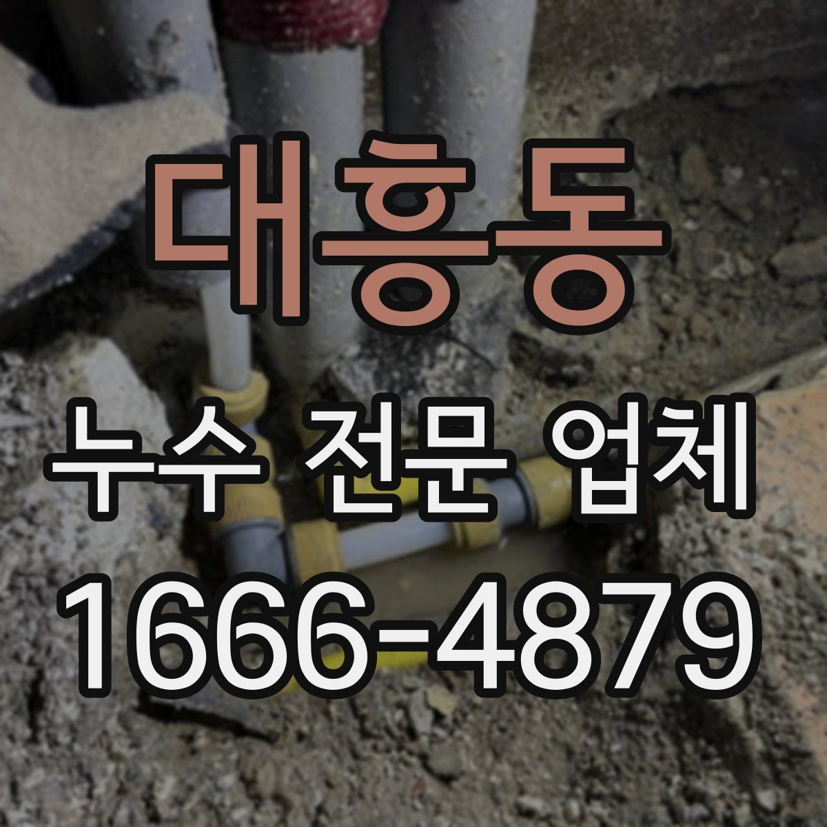 대흥동 누수 전문 업체