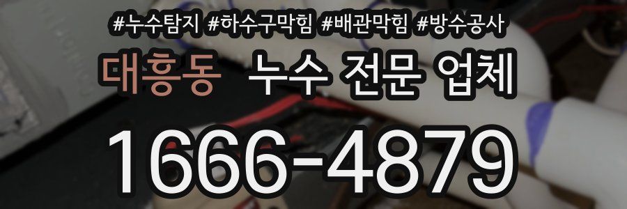 대흥동 누수 전문 업체