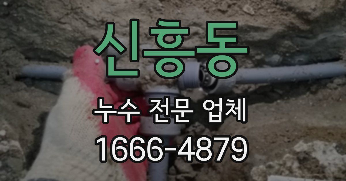 신흥동 누수 전문 업체