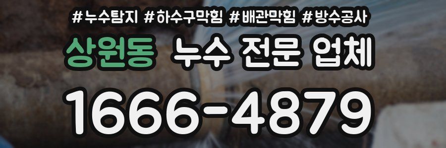상원동 누수 전문 업체