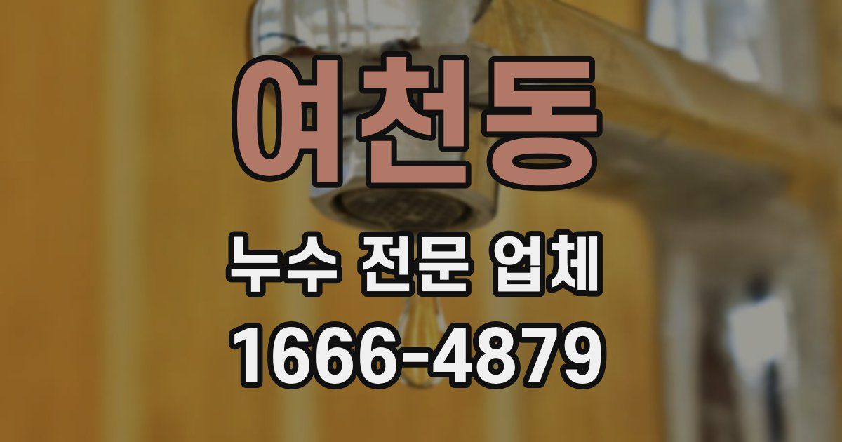 여천동 누수 전문 업체