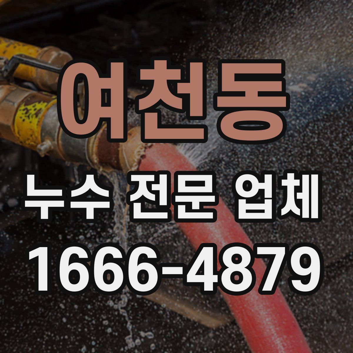 여천동 누수 전문 업체