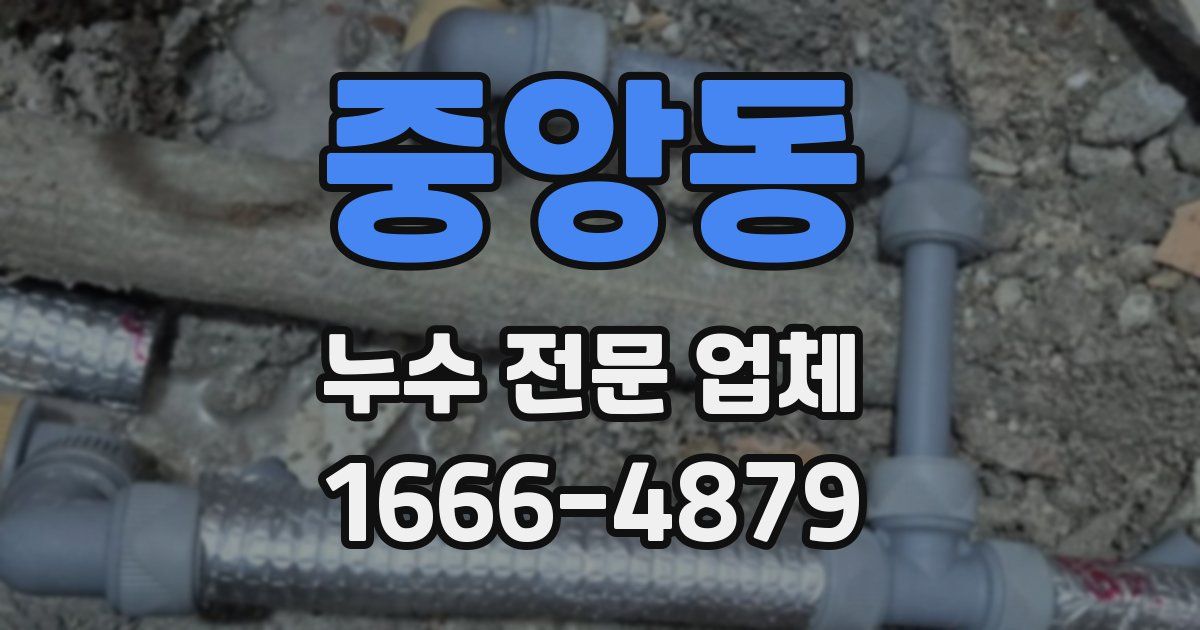 중앙동 누수 전문 업체