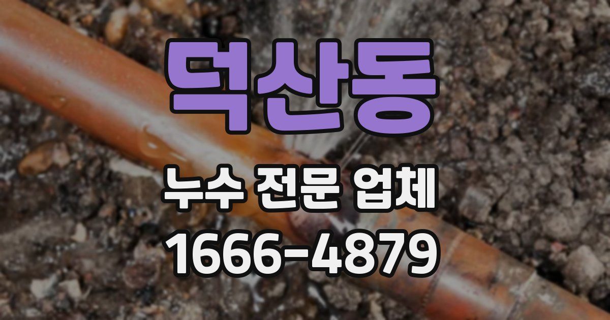 덕산동 누수 전문 업체