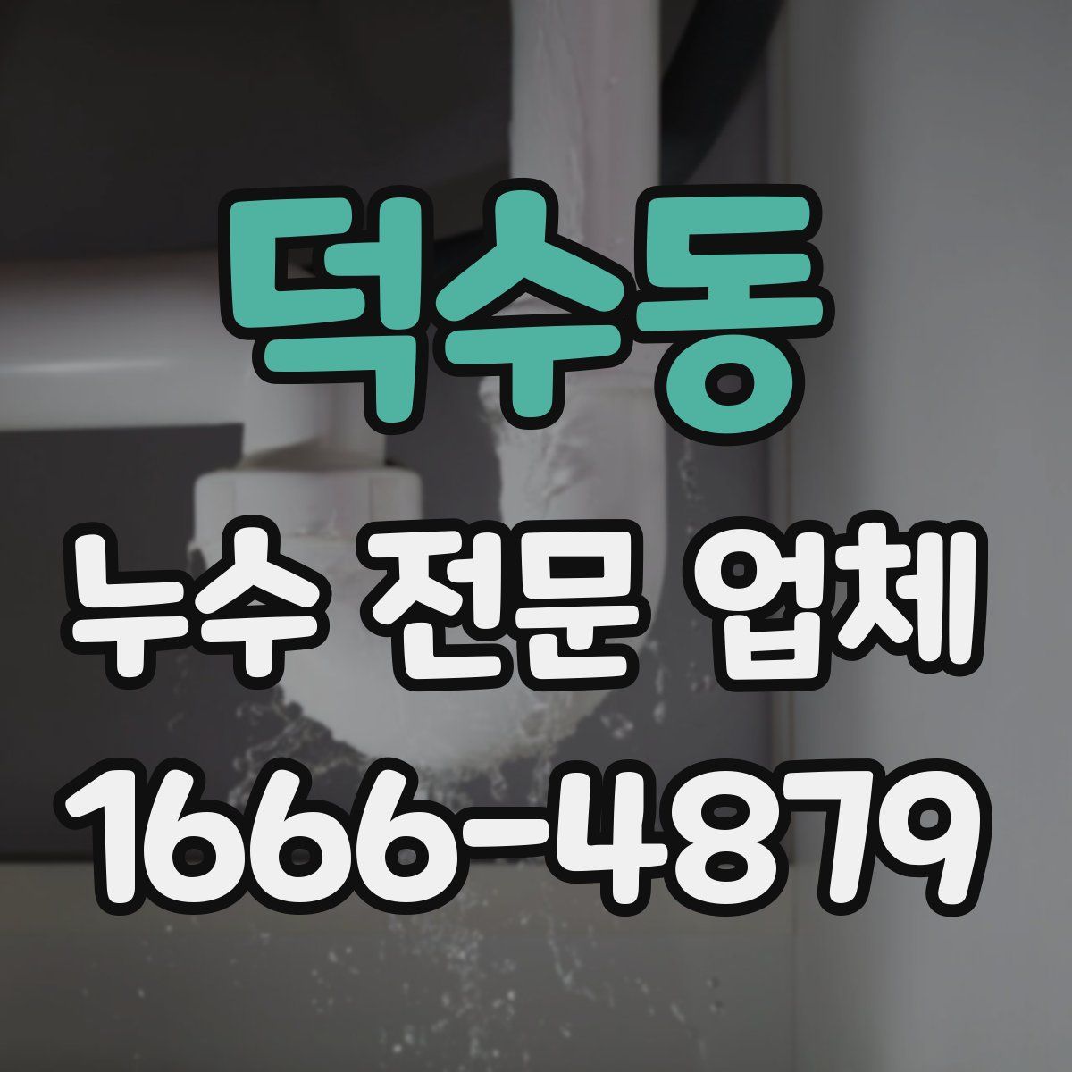 덕수동 누수 전문 업체