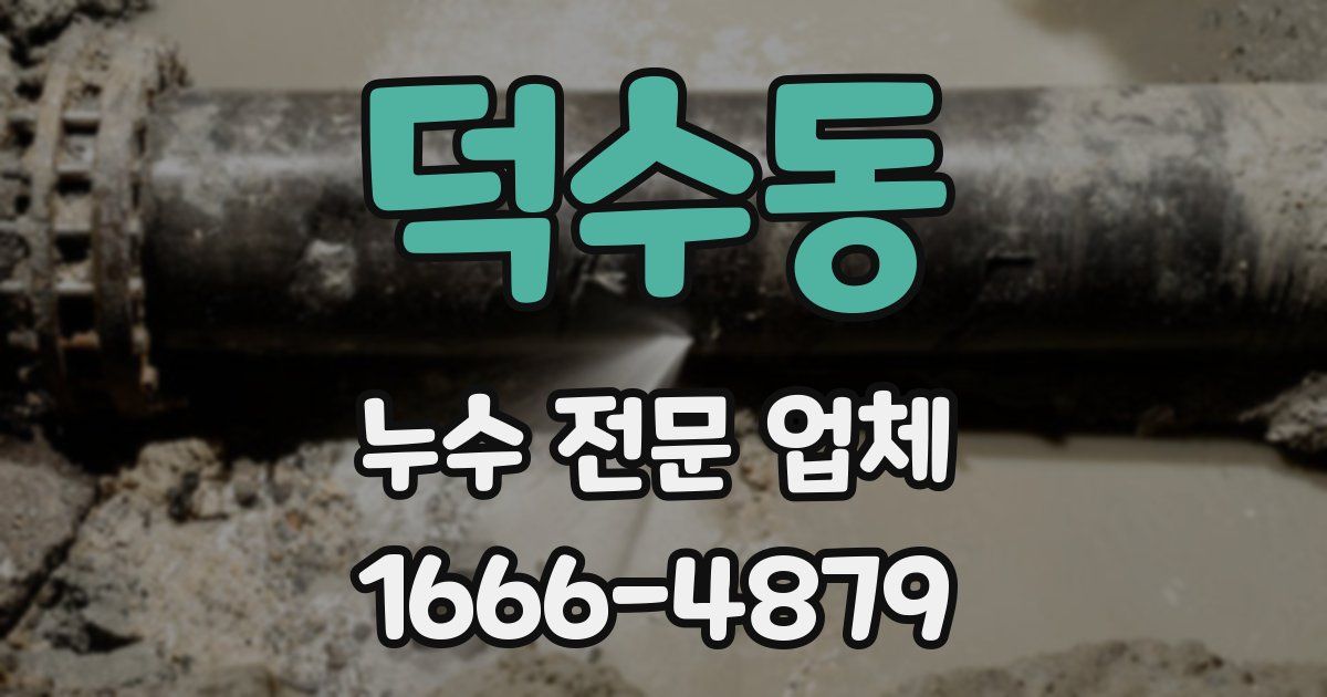 덕수동 누수 전문 업체
