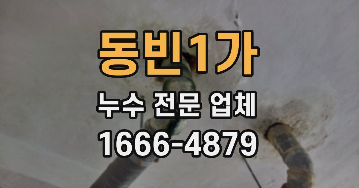 동빈1가 누수 전문 업체