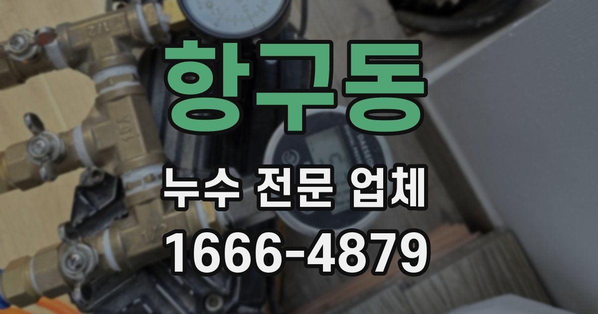 항구동 누수 전문 업체