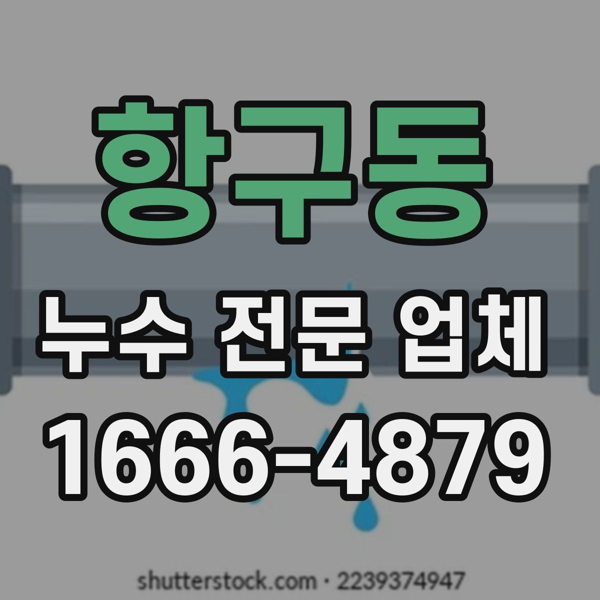 항구동 누수 전문 업체