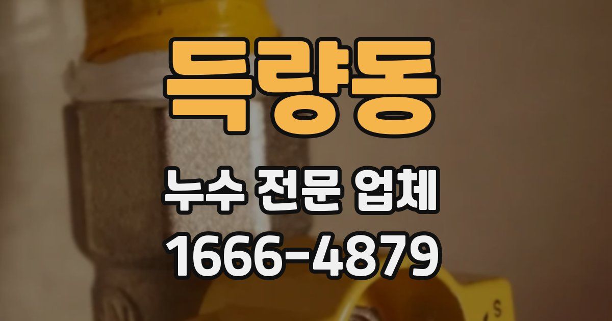 득량동 누수 전문 업체