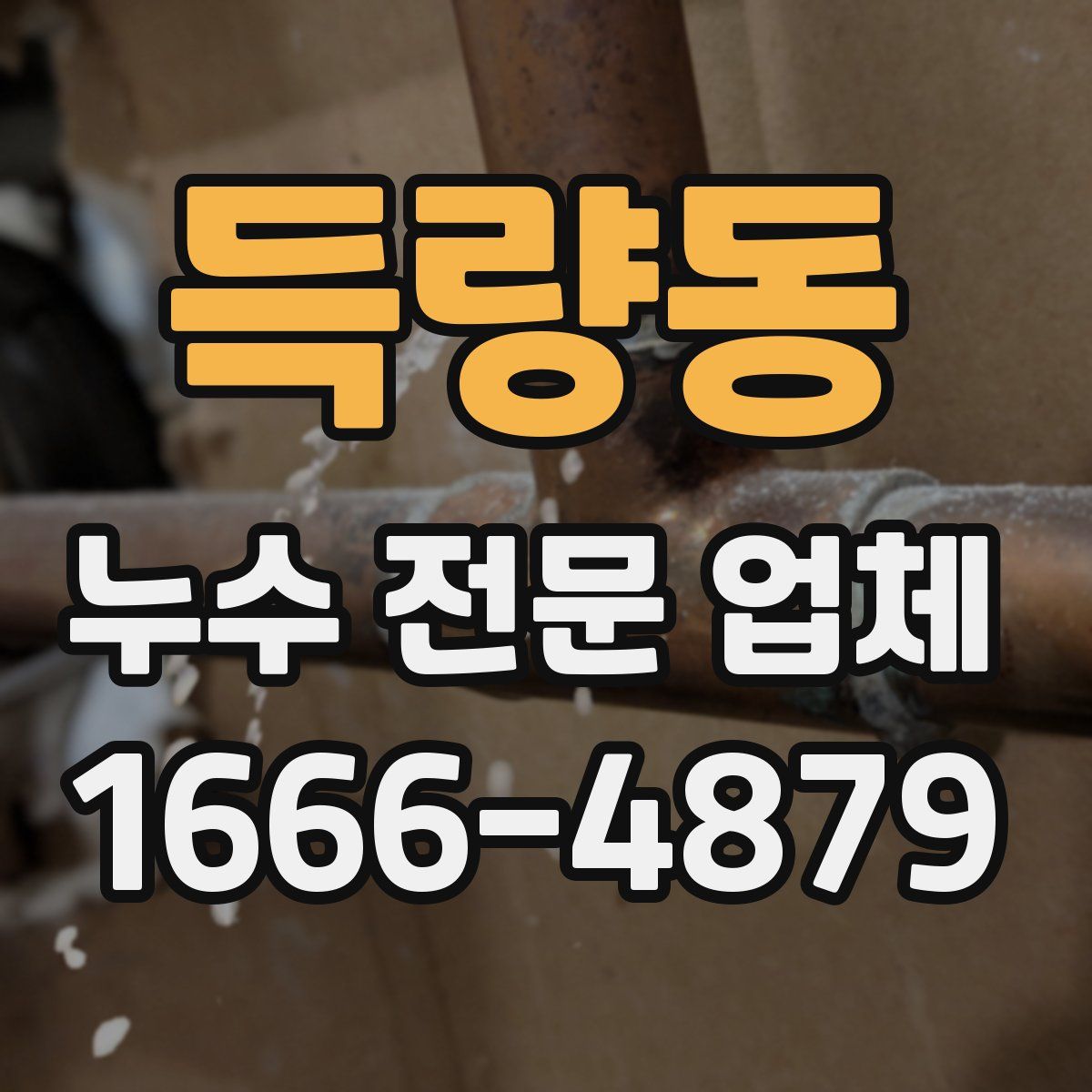 득량동 누수 전문 업체