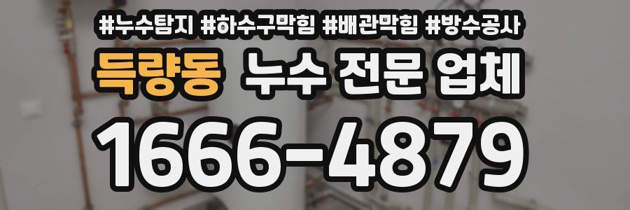 득량동 누수 전문 업체