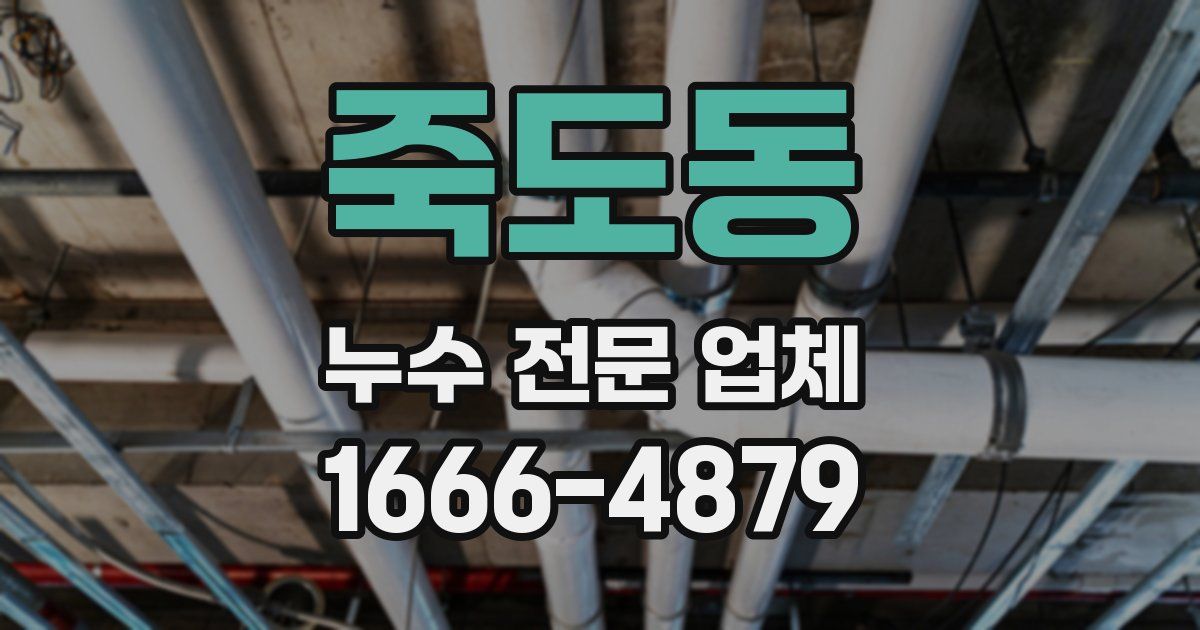 죽도동 누수 전문 업체