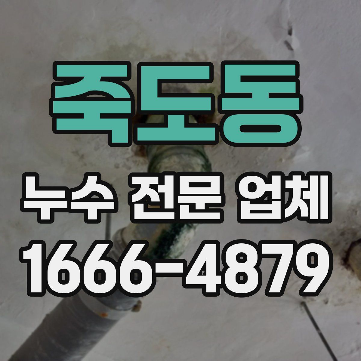 죽도동 누수 전문 업체