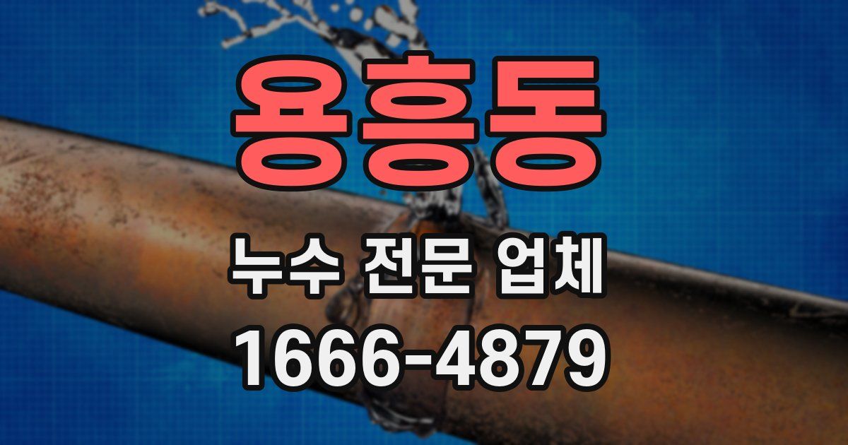 용흥동 누수 전문 업체