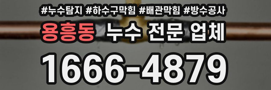 용흥동 누수 전문 업체