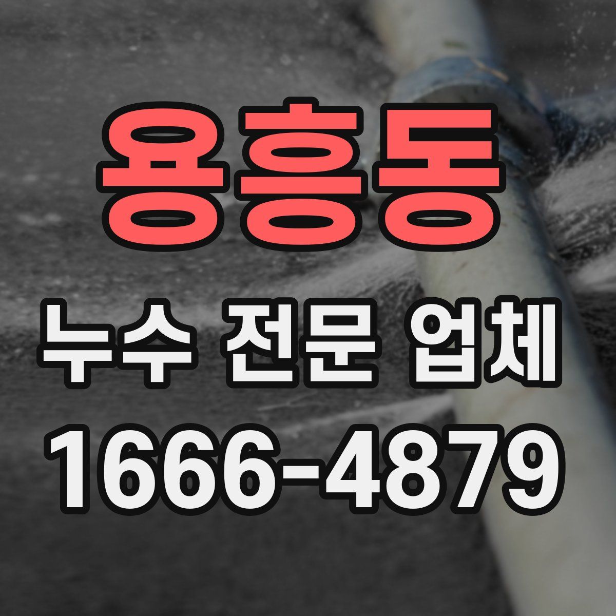 용흥동 누수 전문 업체