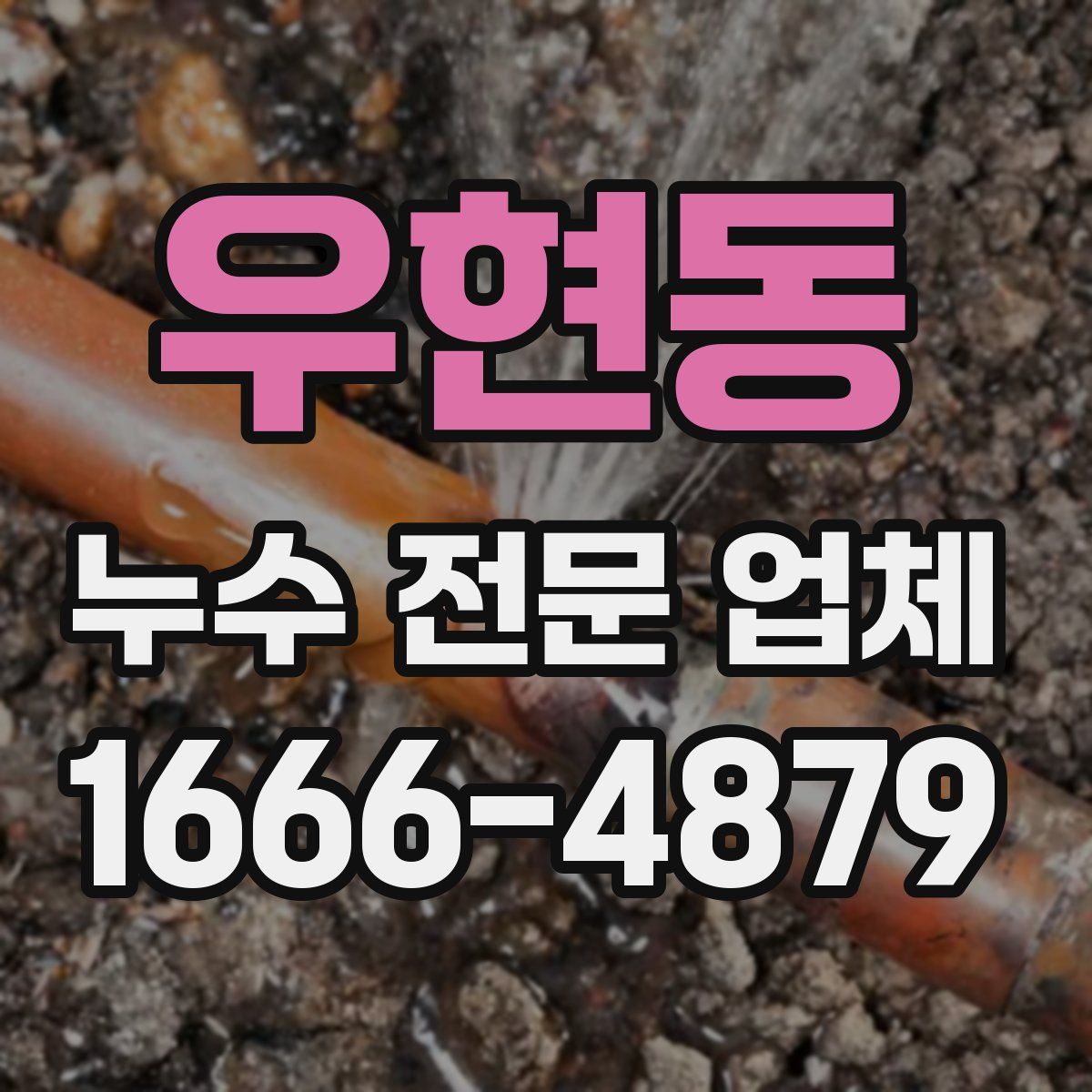 우현동 누수 전문 업체