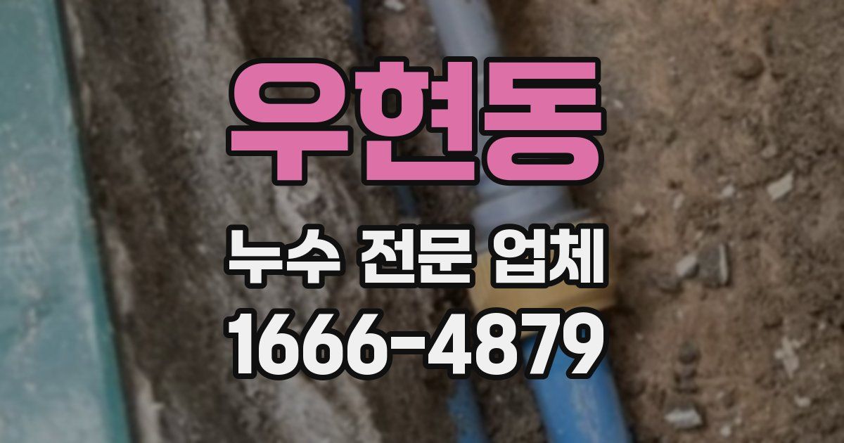 우현동 누수 전문 업체