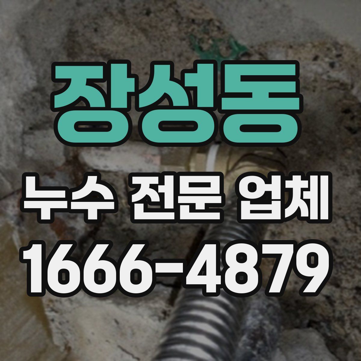 장성동 누수 전문 업체