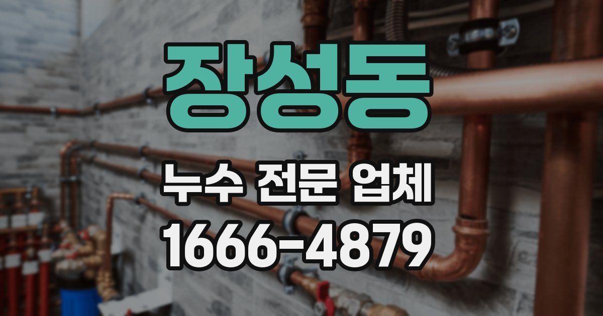 장성동 누수 전문 업체