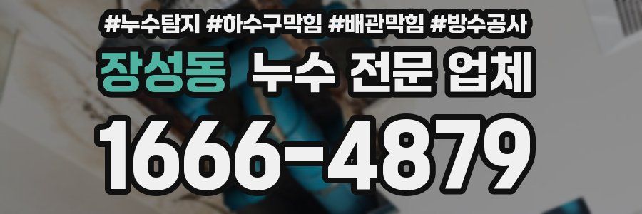 장성동 누수 전문 업체