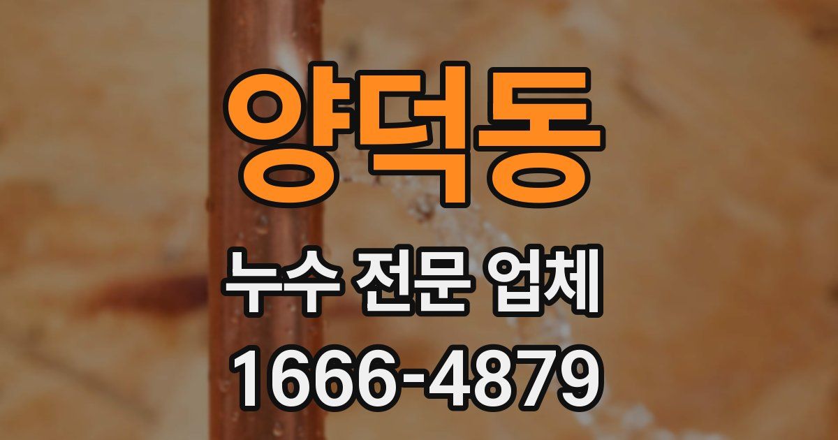 양덕동 누수 전문 업체