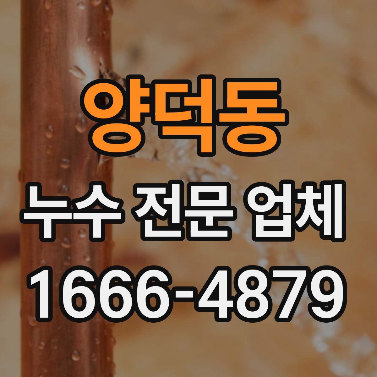 양덕동 누수 전문 업체