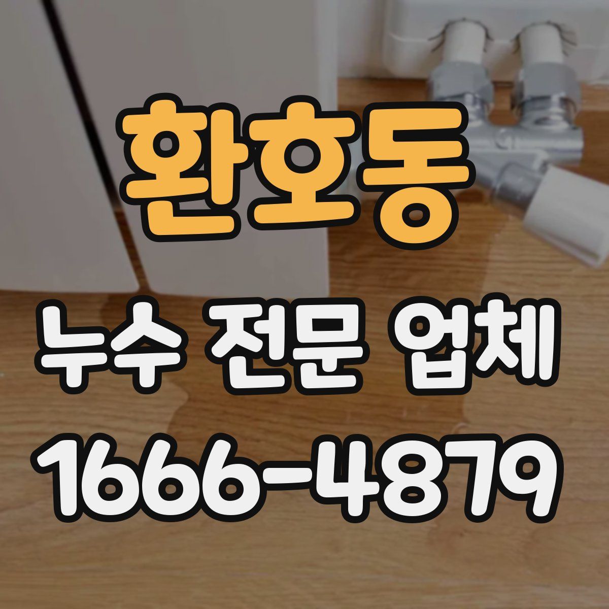 환호동 누수 전문 업체
