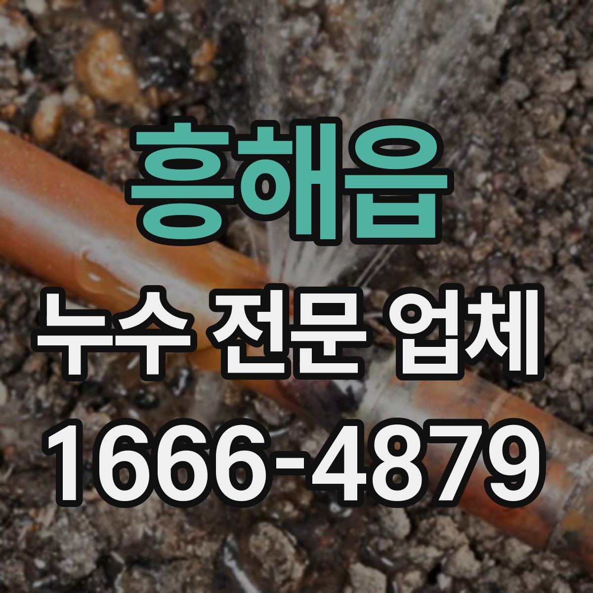 흥해읍 누수 전문 업체